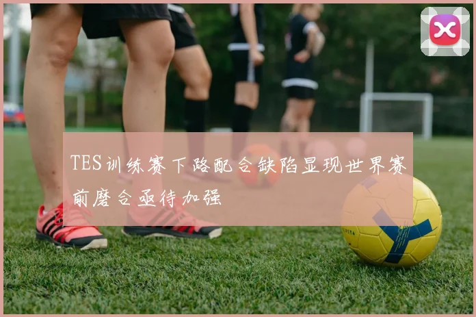 TES训练赛下路配合缺陷显现世界赛前磨合亟待加强